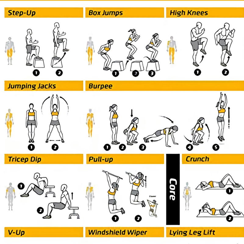 โปสเตอร์แผนการออกกำลังกาย ภาพพ - Sports Equipment Poster บทวิจารณ์และราคา